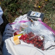 IMG0679.jpg