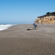 IMG0696.jpg