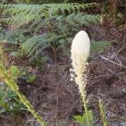 IMG0708.jpg