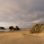 IMG0741.jpg