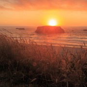 IMG0769.jpg