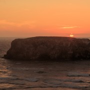 IMG0778.jpg