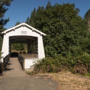 IMG0788.jpg