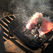 IMG0878.jpg