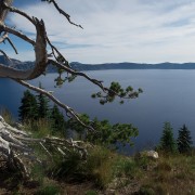 IMG0893.jpg