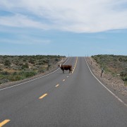 IMG0921.jpg