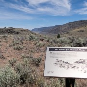 IMG0931.jpg