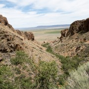 IMG1109.jpg