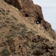 IMG1110.jpg