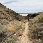 IMG1113.jpg