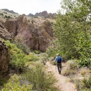 IMG1116.jpg