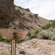 IMG1118.jpg