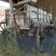 IMG1164.jpg