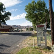 IMG1168.jpg