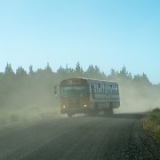 IMG1186.jpg