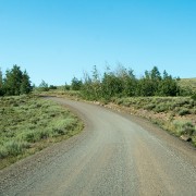 IMG1195.jpg