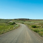 IMG1204.jpg