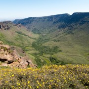IMG1215.jpg