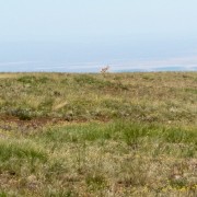 IMG1223.jpg