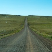 IMG1225.jpg