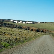 IMG1226.jpg