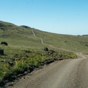 IMG1255.jpg