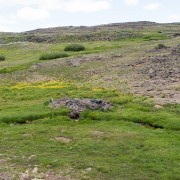 IMG1343.jpg