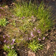IMG1364.jpg