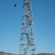IMG1369.jpg