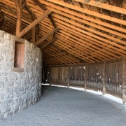 IMG1401.jpg