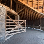 IMG1411.jpg