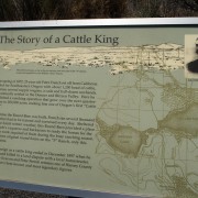 IMG1414.jpg
