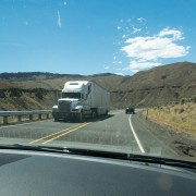 IMG1436.jpg