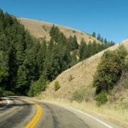 IMG1486.jpg