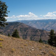 IMG1519.jpg