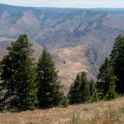 IMG1524.jpg