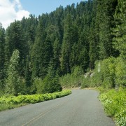 IMG1525.jpg