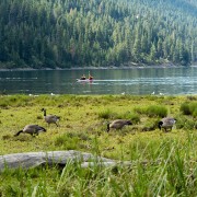IMG1545.jpg