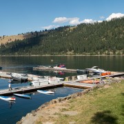 IMG1549.jpg