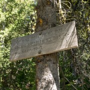 IMG1566.jpg