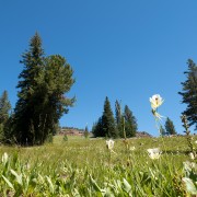 IMG1580.jpg