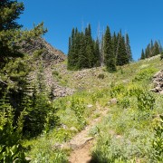 IMG1581.jpg