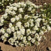 IMG1648.jpg