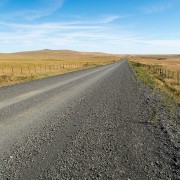 IMG1677.jpg