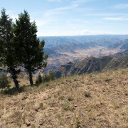 IMG1691.jpg
