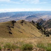 IMG1711.jpg