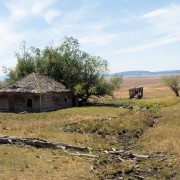 IMG1734.jpg