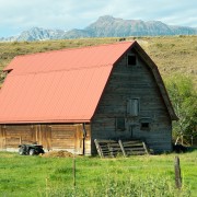 IMG1819.jpg