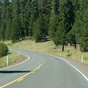 IMG1991.jpg