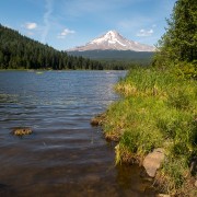 IMG2020.jpg
